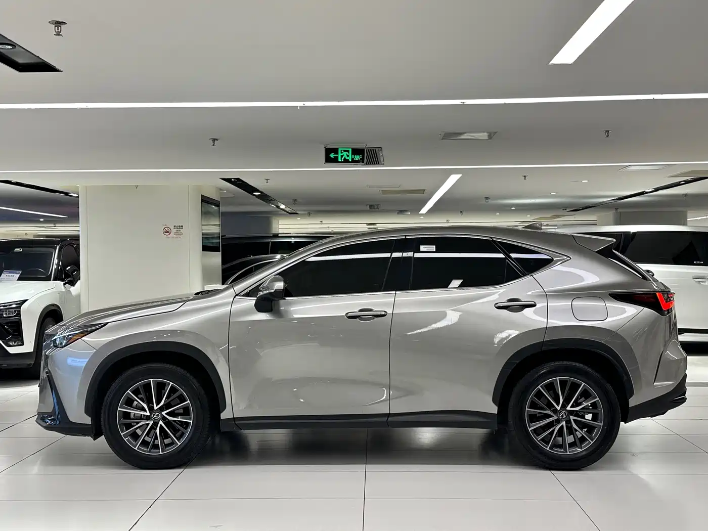 2025 Lexus NX