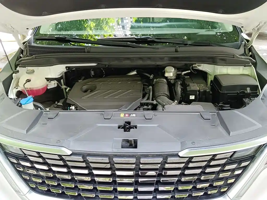 Kia Carnival 2021 2021 2.0T Luxury Premium Edition