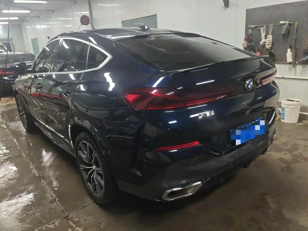 2024 BMW X6
