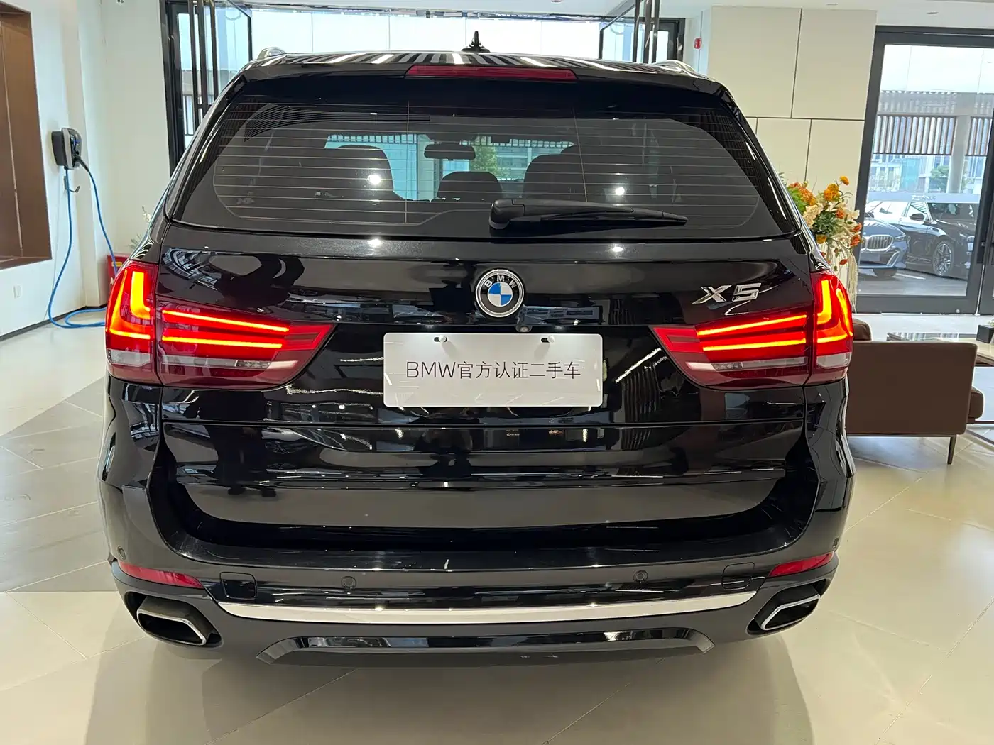 BMW X5 (Import) 2018 xDrive35i Elegant Model фото 5
