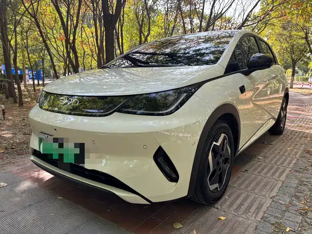  BYD Dolphin 2025 Smart Drive Edition 420km Freedom Version