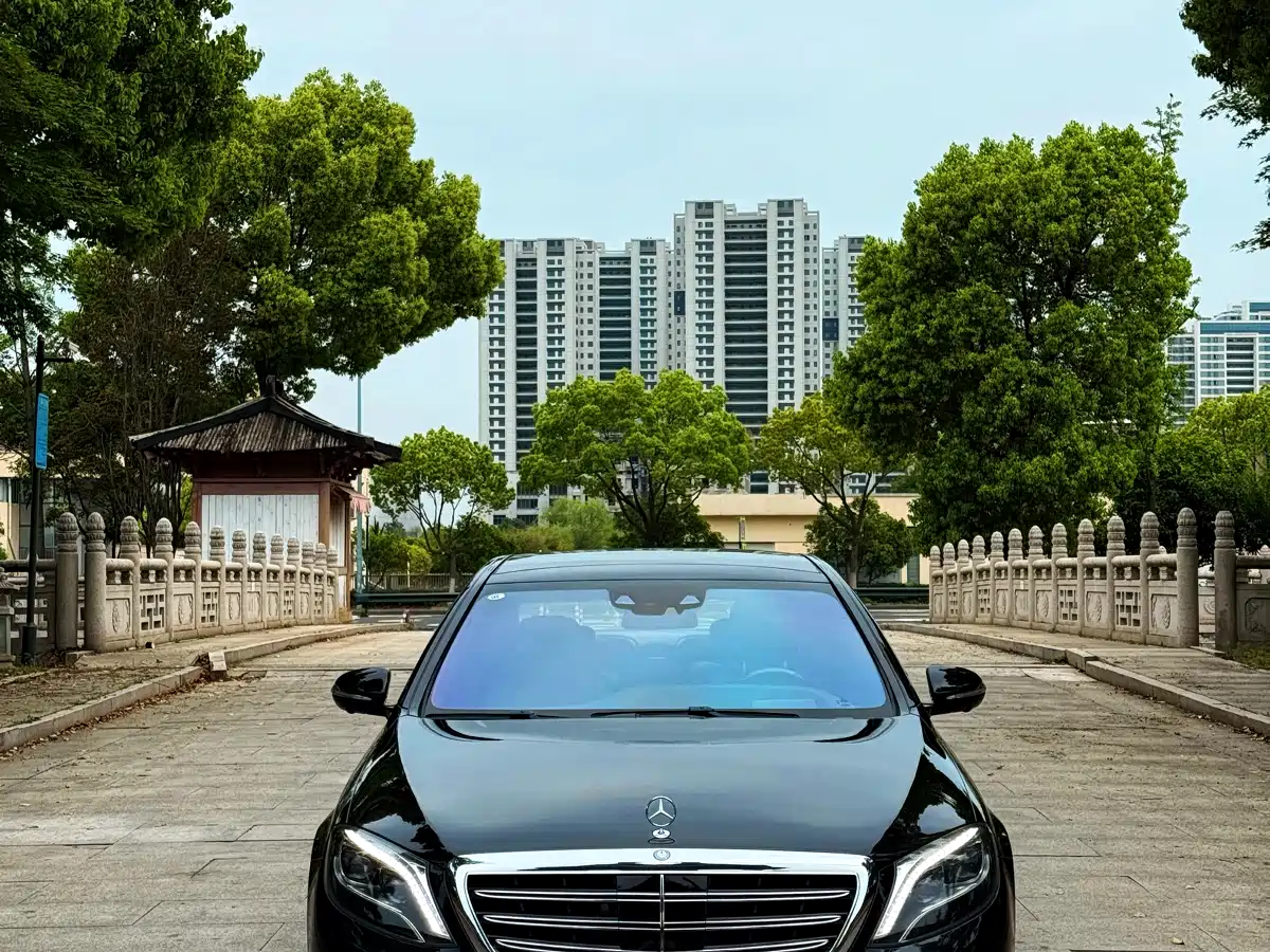 Mercedes-Benz S-Class 2014 S 600 L фото 2