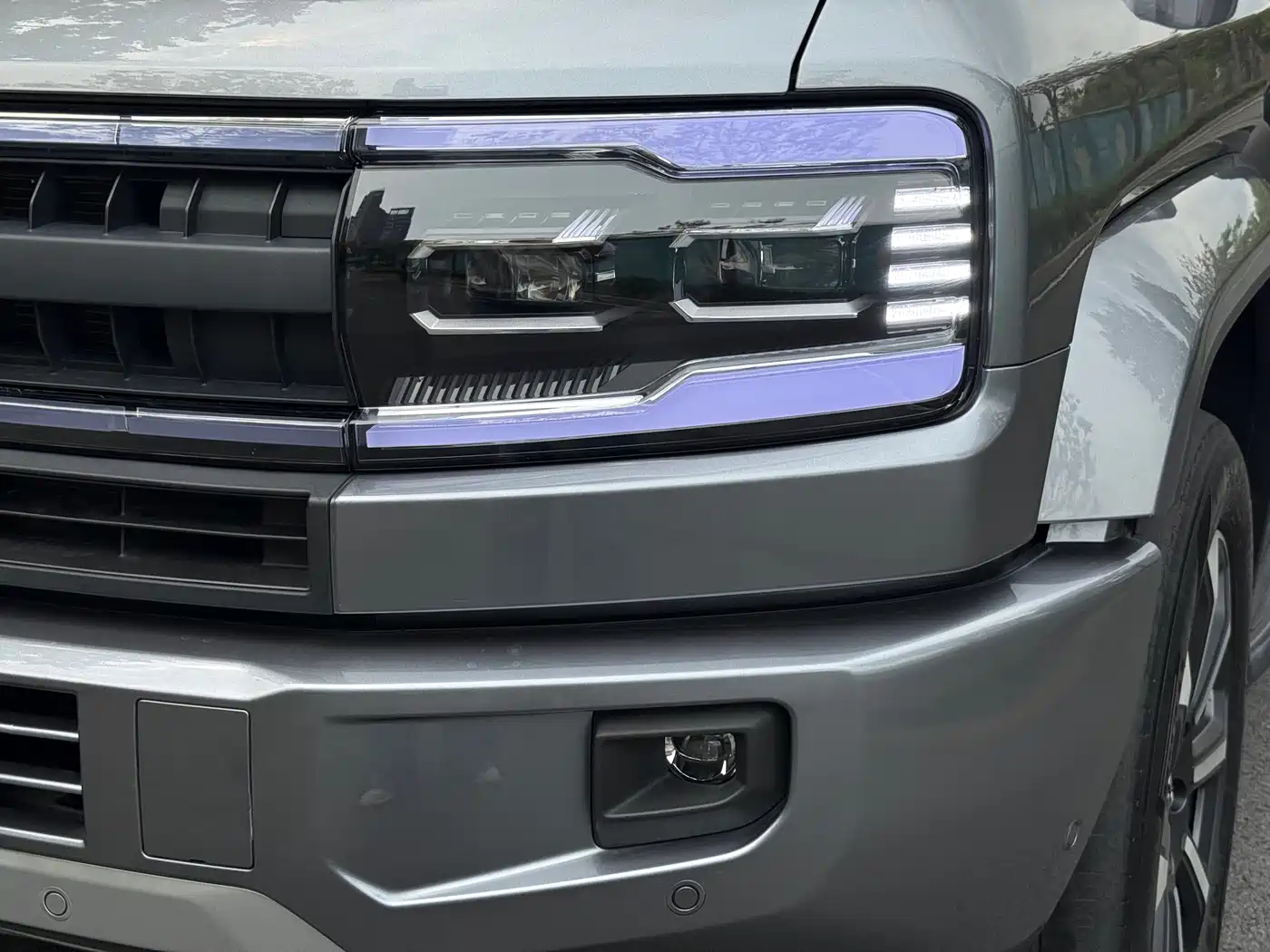 FANG CHENG BAO LEOPARD 5