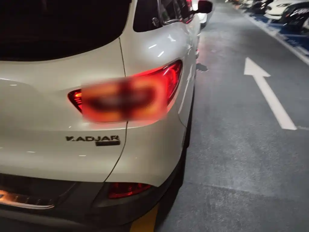 Renault Kadjar 2018 2017 2.0L 2WD Leading Edition