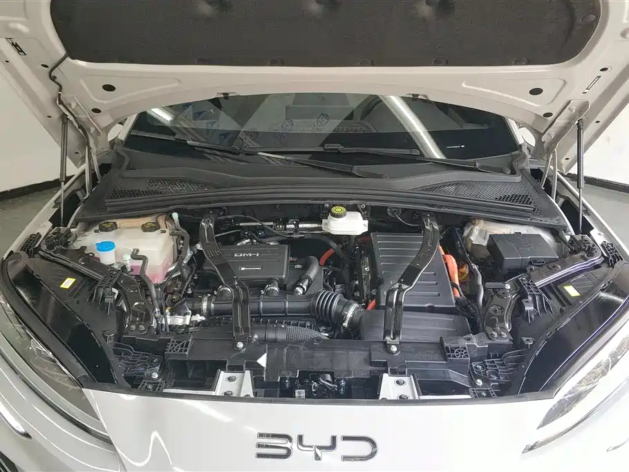 BYD SONGJIANG NEW ENERGY