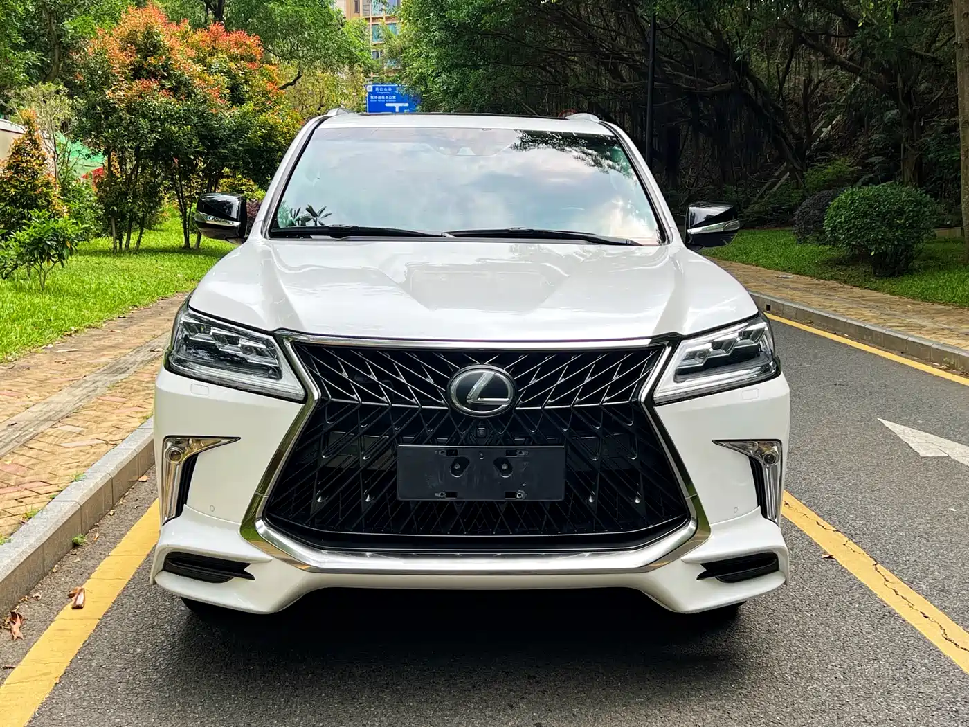 Lexus LX 2019 570 Peak Special Edition фото 2
