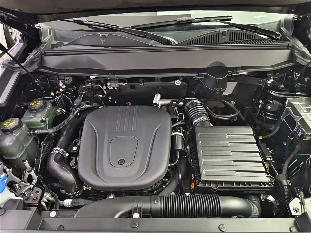 HAVAL RAPTORS NEW ENERGY