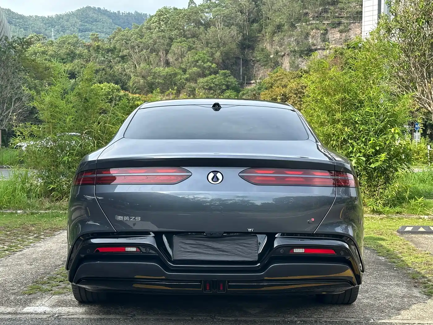 Denza Z9 2024 Model 1100km AWD Max Edition фото 5
