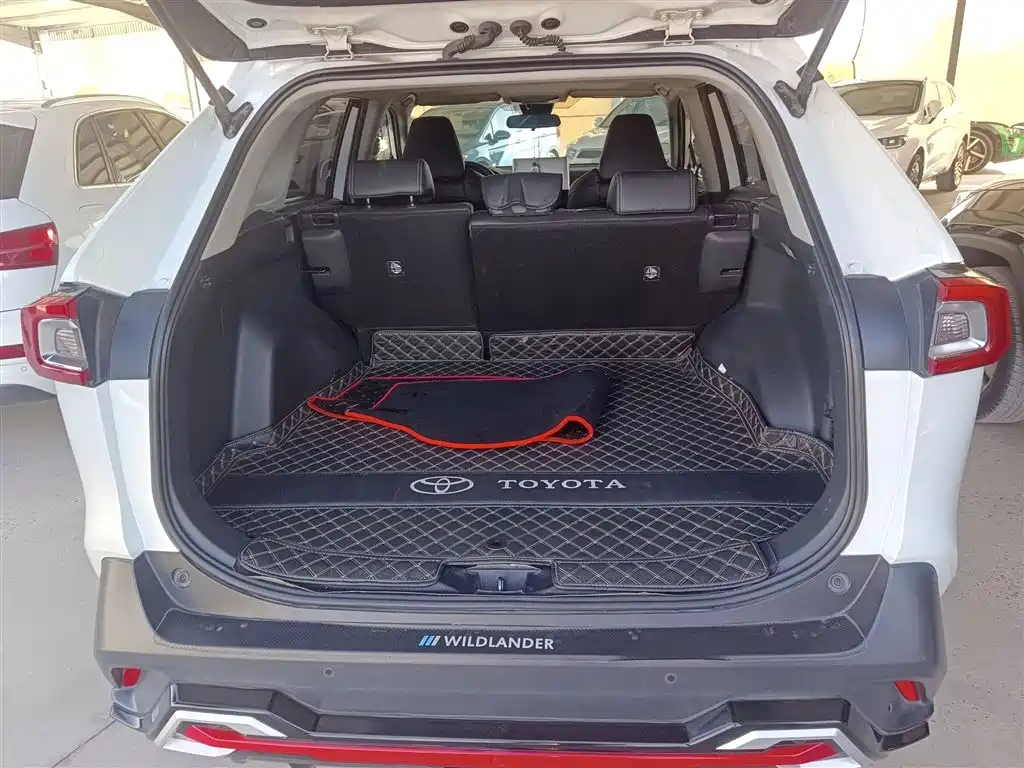 Toyota Wildlander 2020 2.0L CVT 2WD Luxury Edition фото 9