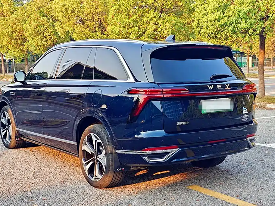 WEY Lanshan 2023 2023 AWD Ultra Long Range Edition