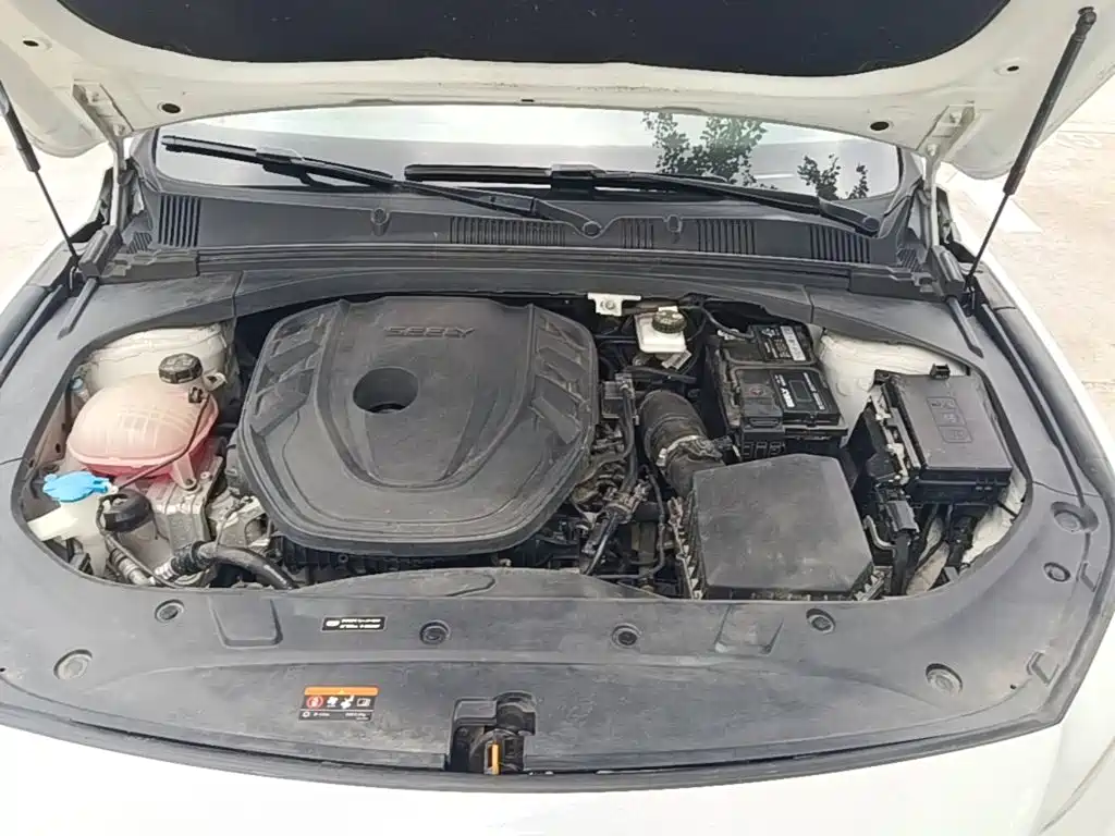 Фото 20 - Geely Preface