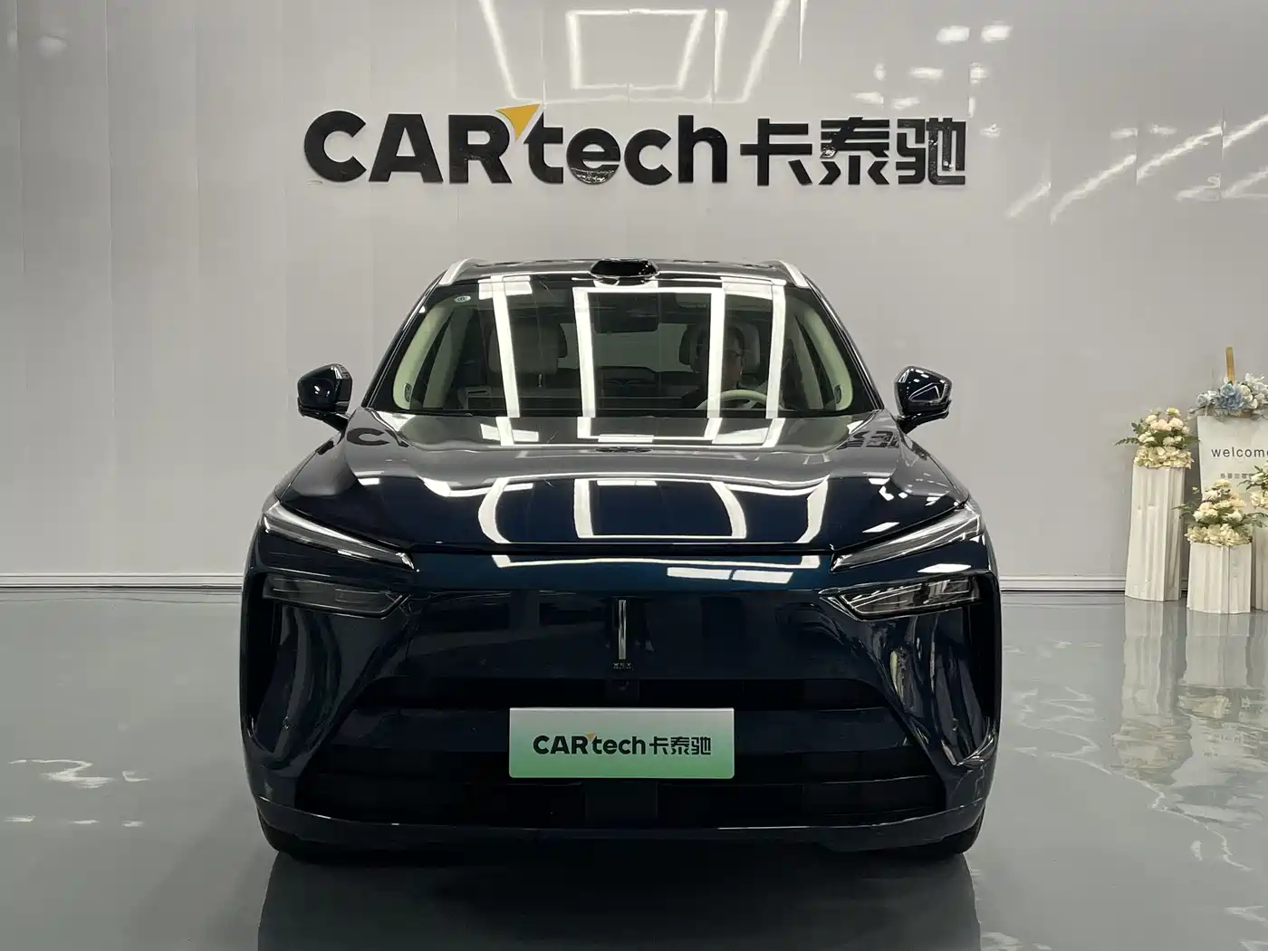 WEI PAI WEI BRAND BLUE MOUNTAIN