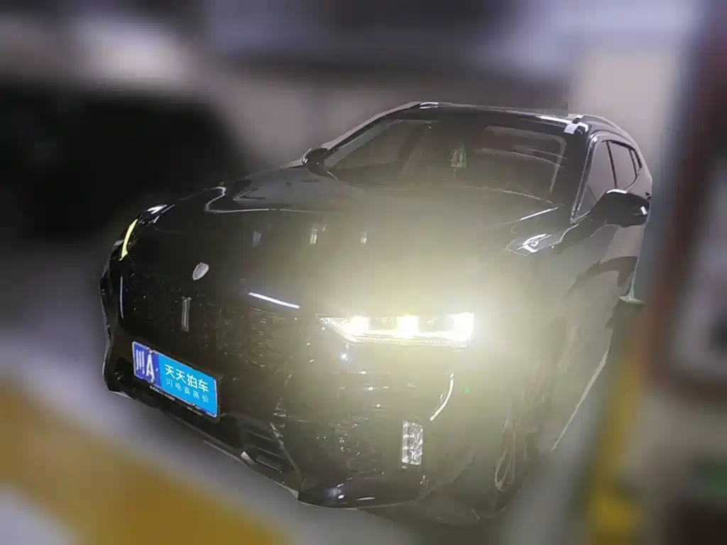 WEY VV7 2018 2017 2.0T Super Luxury