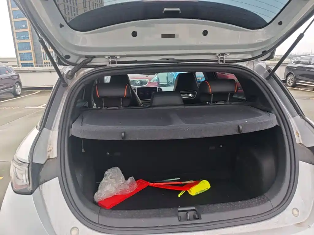 BYD Dolphin 2022 2021 405km Freedom Edition