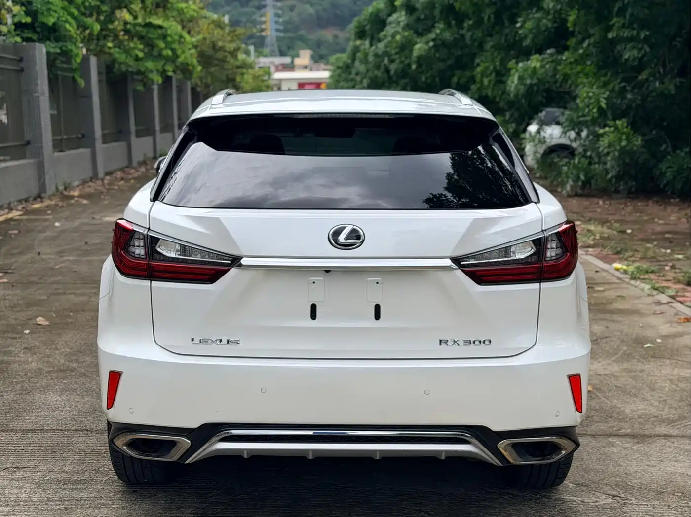 Lexus RX 2016 300 4WD Elegance Edition (China V) фото 5