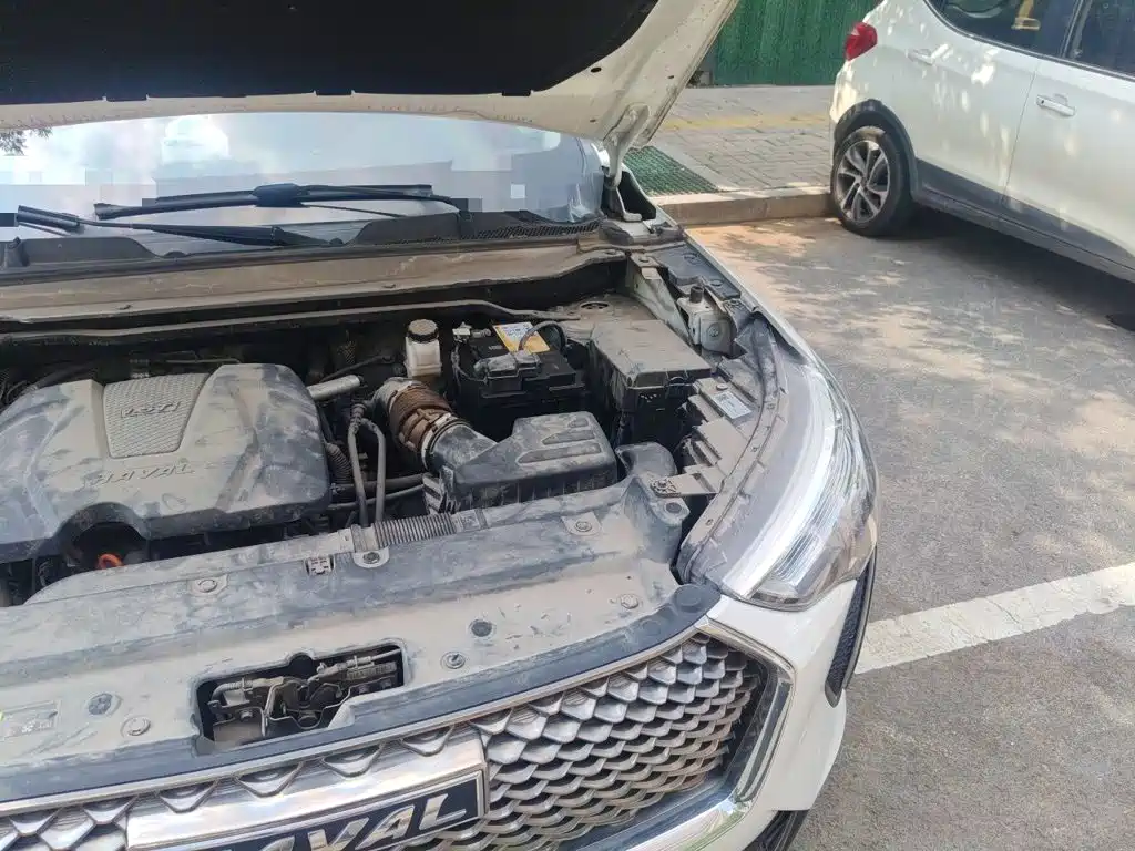 Haval Jolion 2021 2021 1.5T Automatic Premium Edition