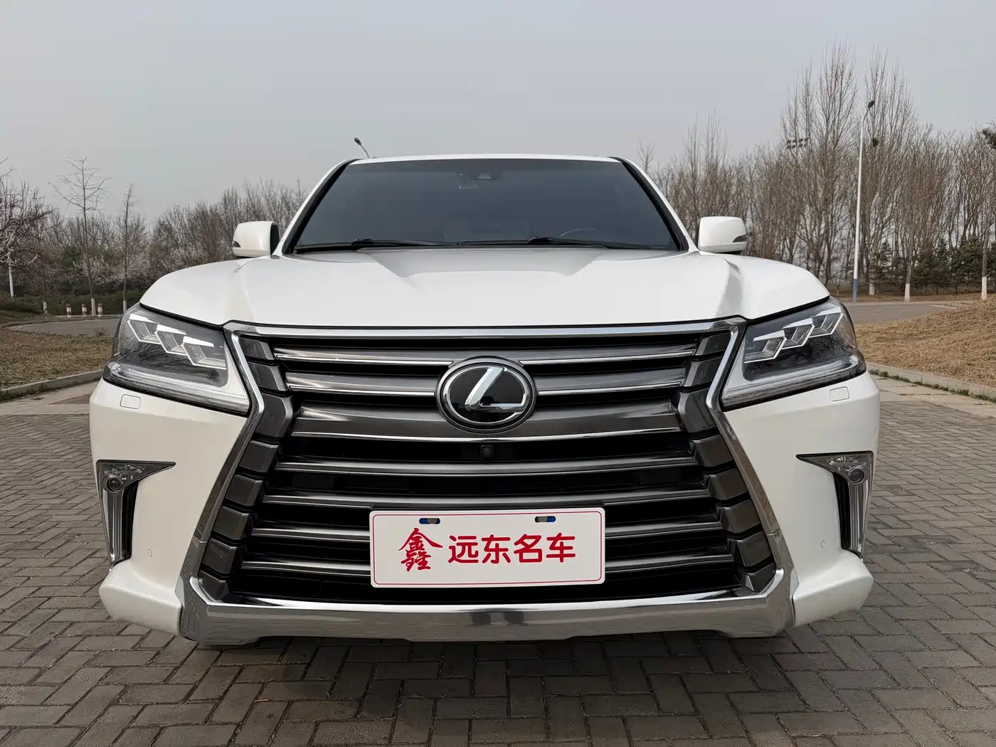 Lexus LX 2016 570 Luxury Premium Edition фото 2
