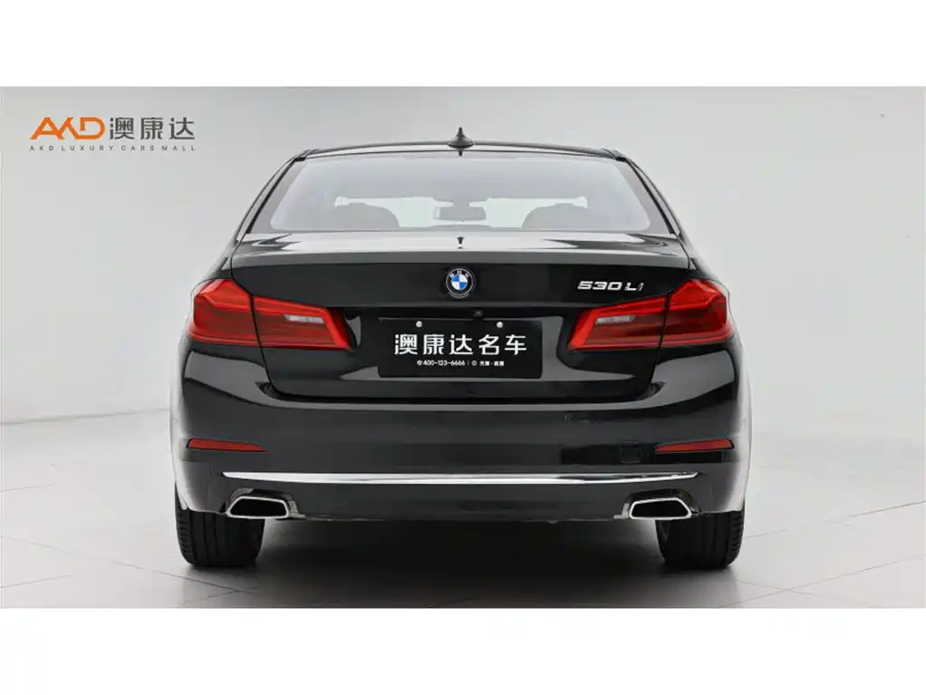 BMW 5 Series 2020 530Li Premium Luxury Package фото 4