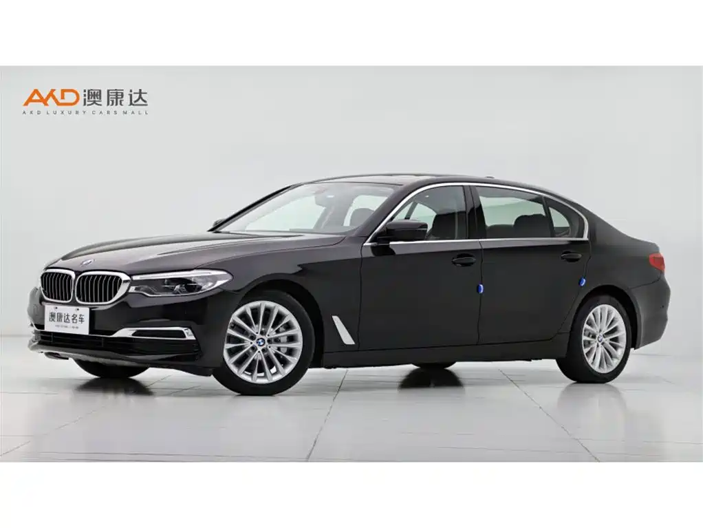 BMW 5 Series 2020 530Li Premium Luxury Package