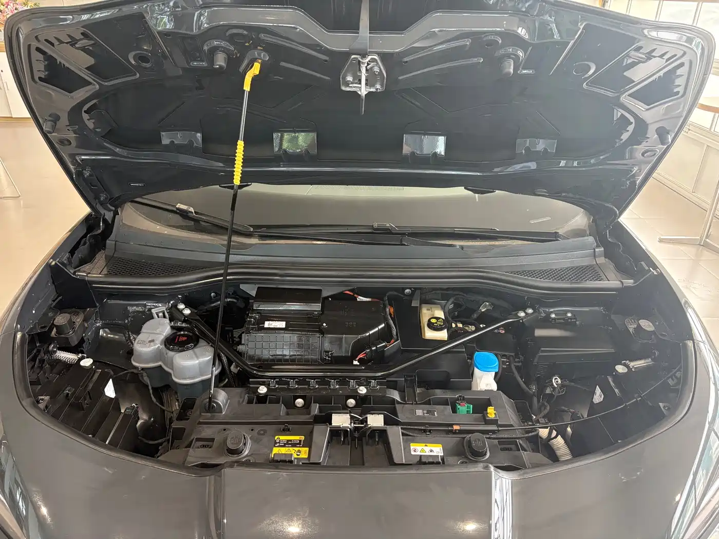 Volkswagen Unique 06 2026 2025 Pure