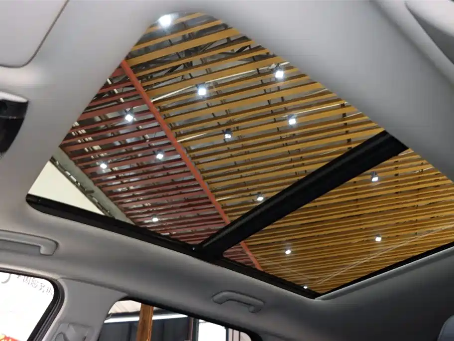 KIA LION PLATINUM EXPANDS THE WORLD