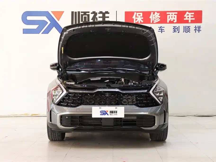 KIA LION PLATINUM EXPANDS THE WORLD