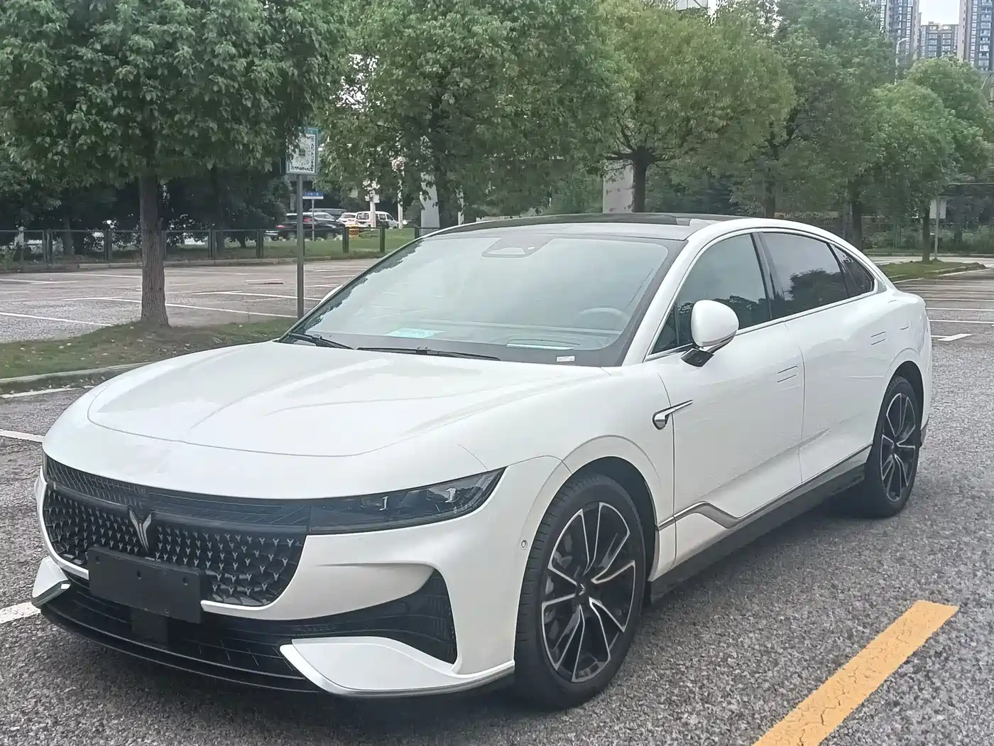 Voyah Passion 2025 2024 PHEV AWD Ultra Long Range Flagship