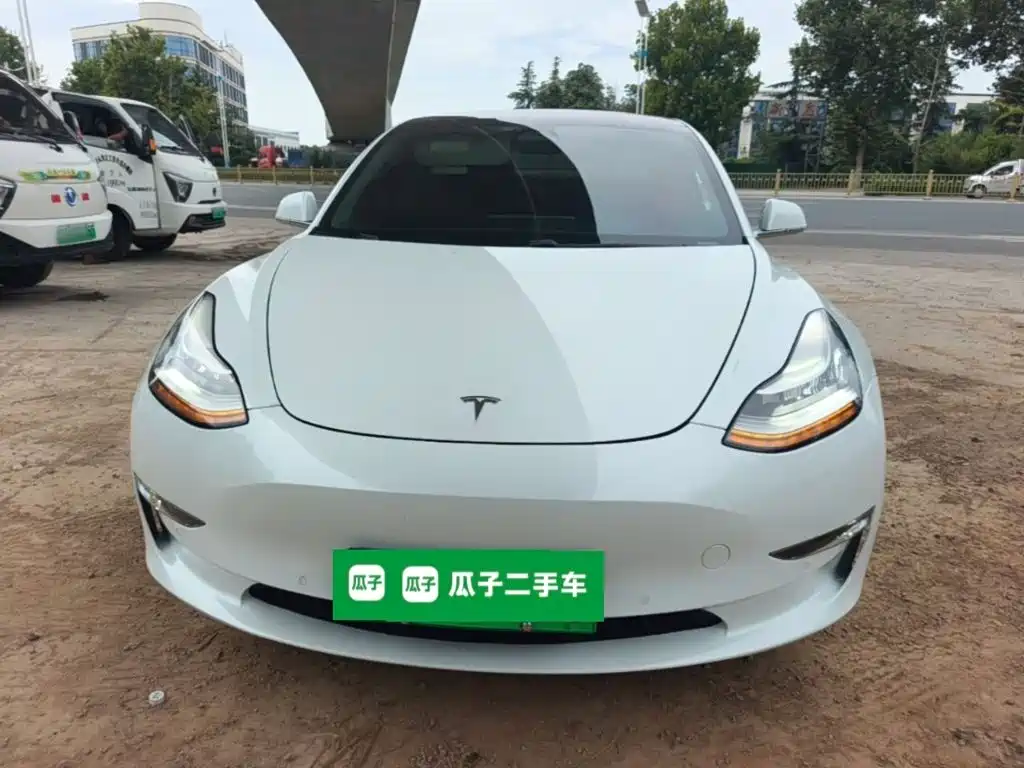 Tesla Model 3 (Import) 2019 2019 Performance High-Efficiency All-Wheel Drive Version