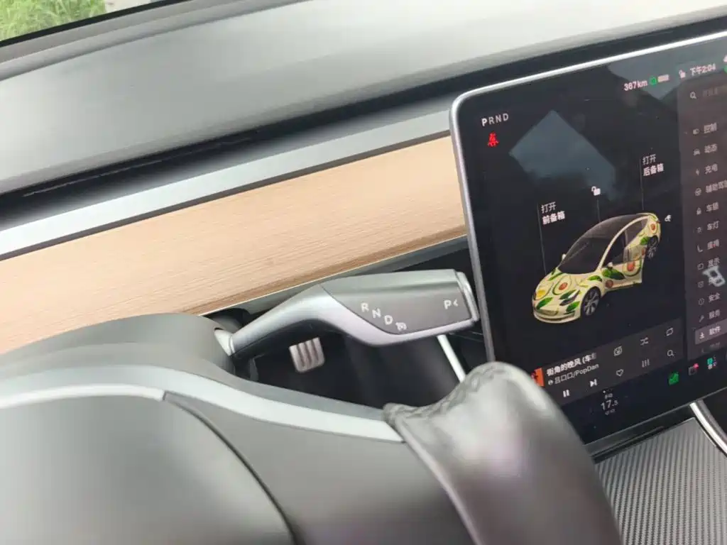 Tesla Model 3 (Import) 2019 2019 Performance High-Efficiency All-Wheel Drive Version