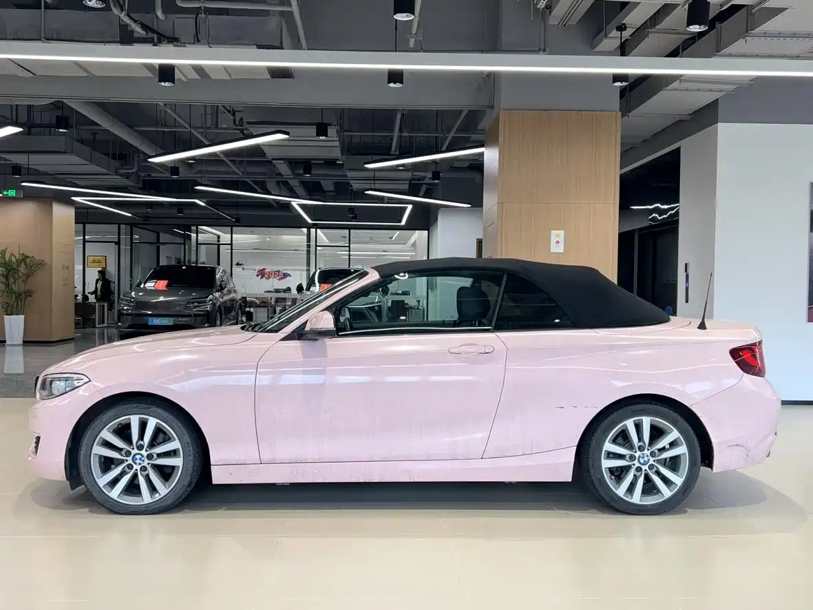 BMW 2 Series (Import) 2015 220i Convertible Coupe Leading фото 3