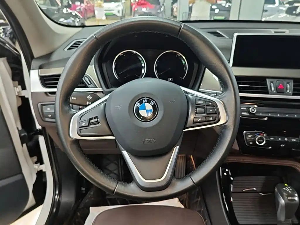 BMW X1 New Energy 2019 2019 xDrive25Le Range Upgrade Edition