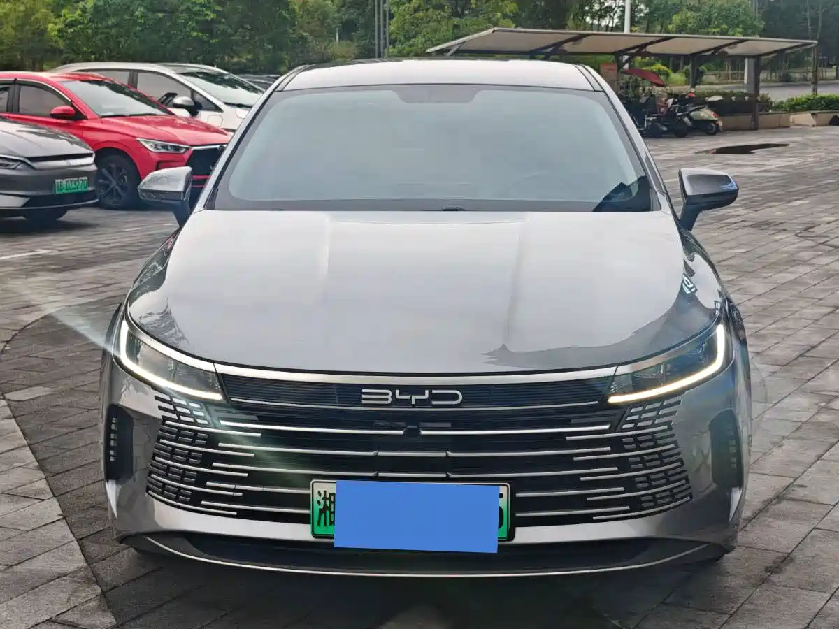 BYD Destroyer 05 2024