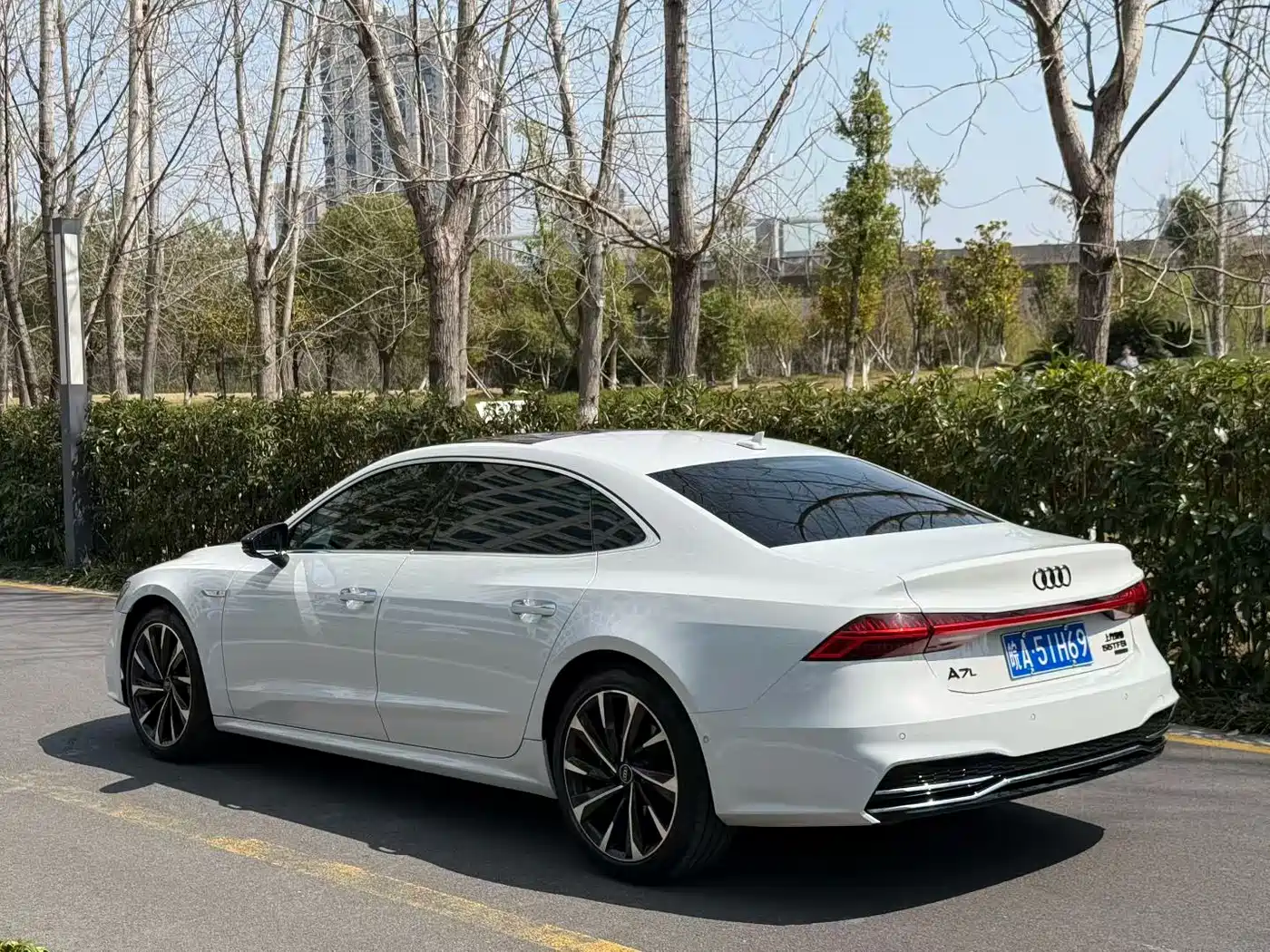 Audi A7L 2023 45 TFSI quattro S-line Shadow Warrior Edition фото 3