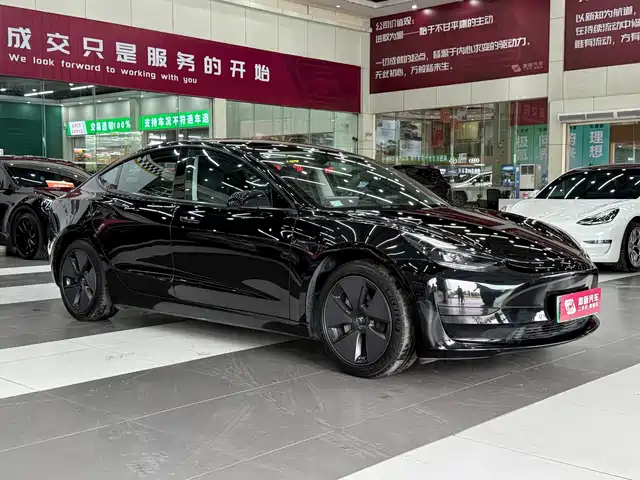 Tesla Model 3 2021 Facelift Standard Range RWD Upgrade 3D1 — фото 3