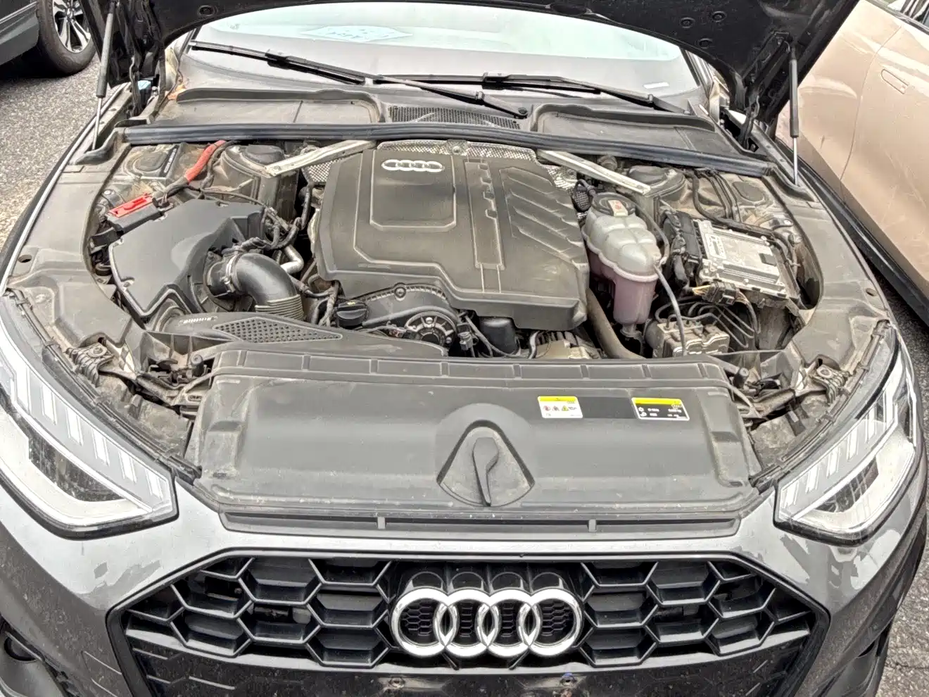 Audi A4L 2023 40 TFSI Luxury Sport фото 16