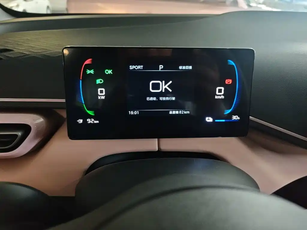 BYD Seagull 2026 2025 Smart Drive Edition 305km Vitality Version