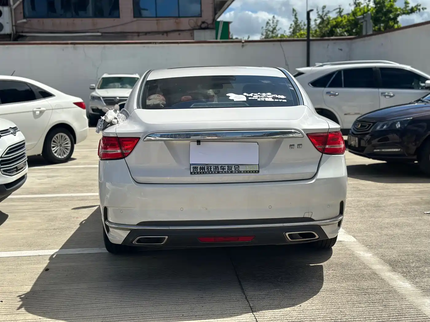 Фото 9 - Geely Borui