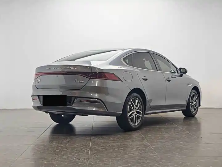 BYD Qin PLUS 2024 Glory Edition DM-i 55KM Surpass фото 9