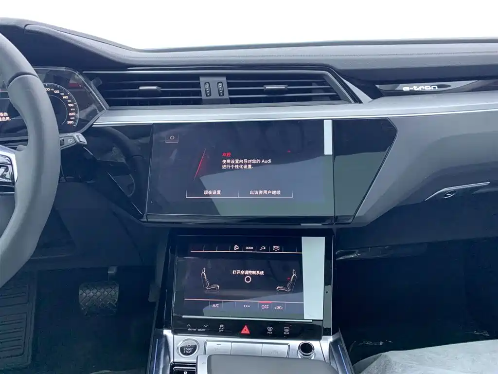 Audi e-tron 2021 50 quattro Luxury фото 22
