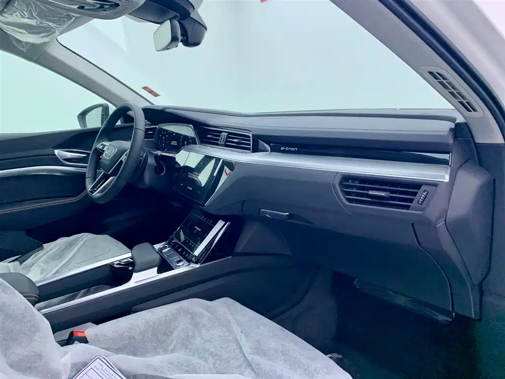 Audi e-tron 2021 50 quattro Luxury фото 17