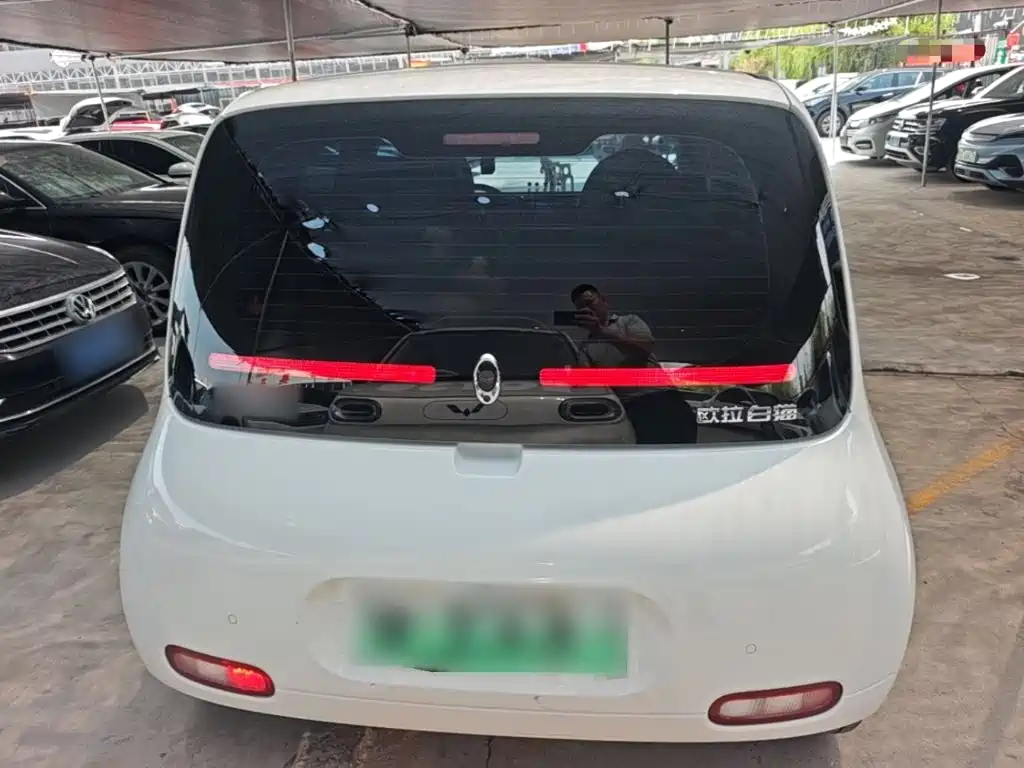 Ora White Cat 2022 2022 Upgraded 305km Luxury (NMC)