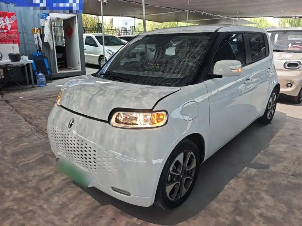 2022 Ora White Cat
