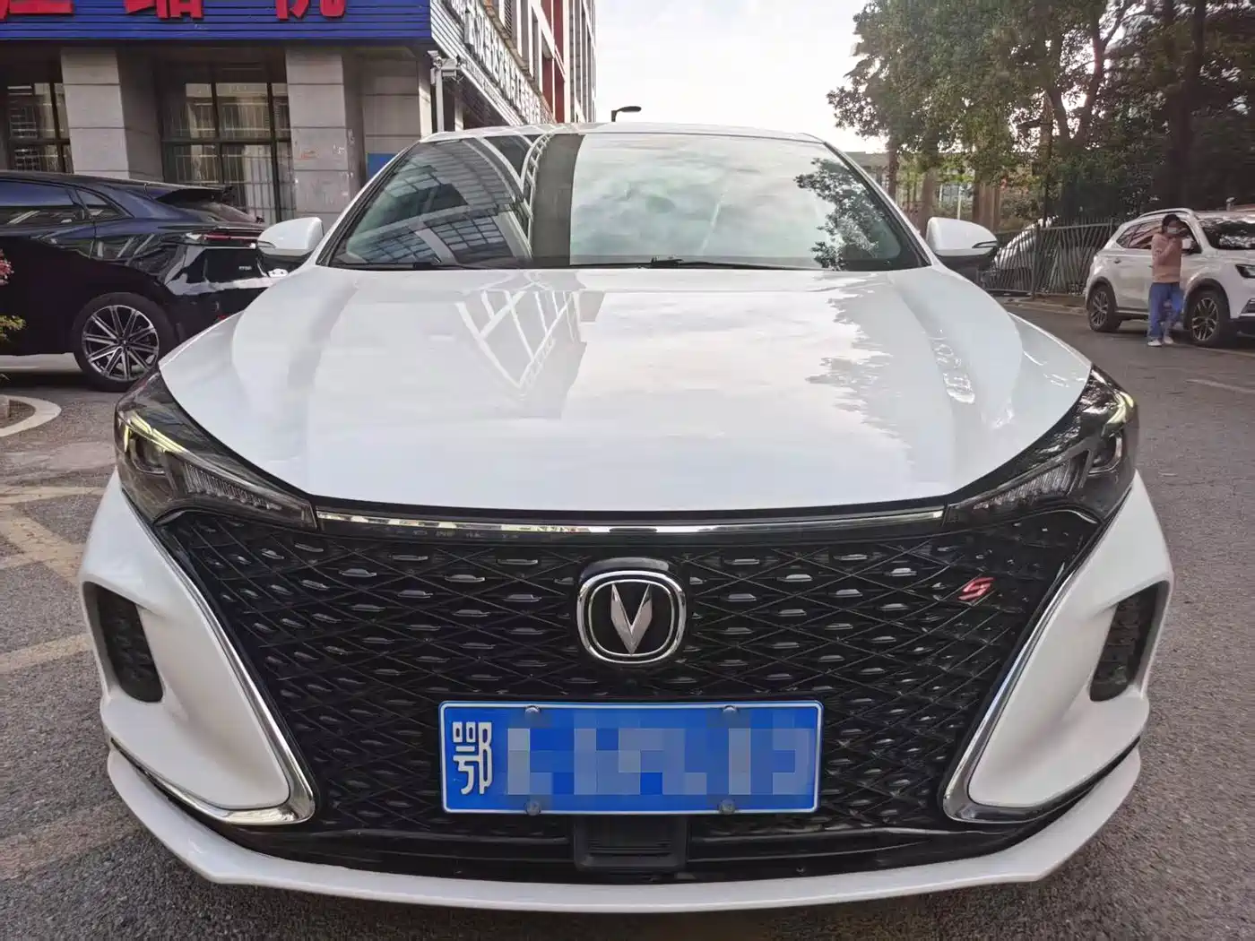 Фото 3 - Changan Eado
