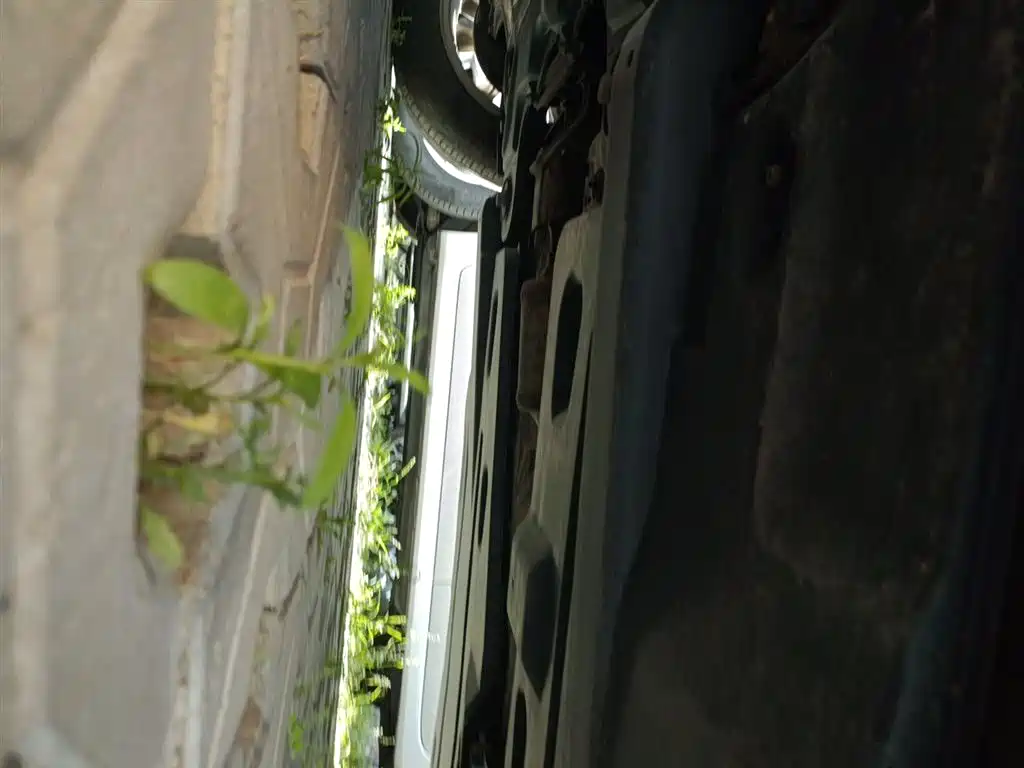 Škoda Kamiq 2018 1.5L Automatic Standard Edition China VI фото 21