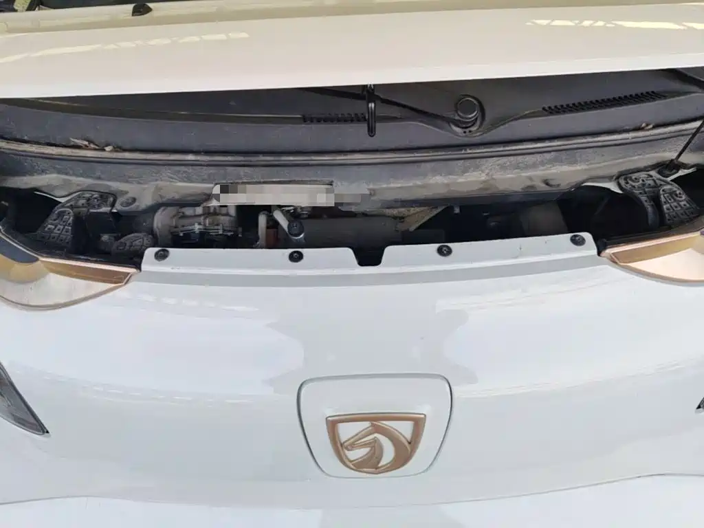 Baojun E200 2019 2019 250KM Smart Edition