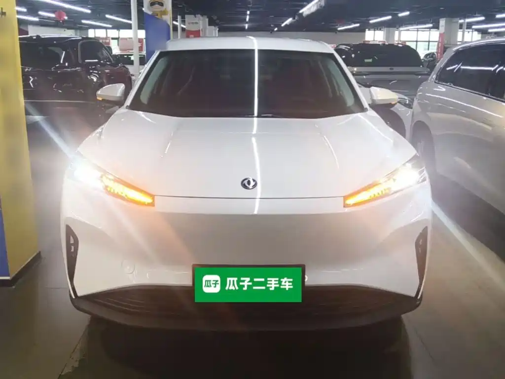 Фото 3 - Dongfeng Aeolus SKY EV01