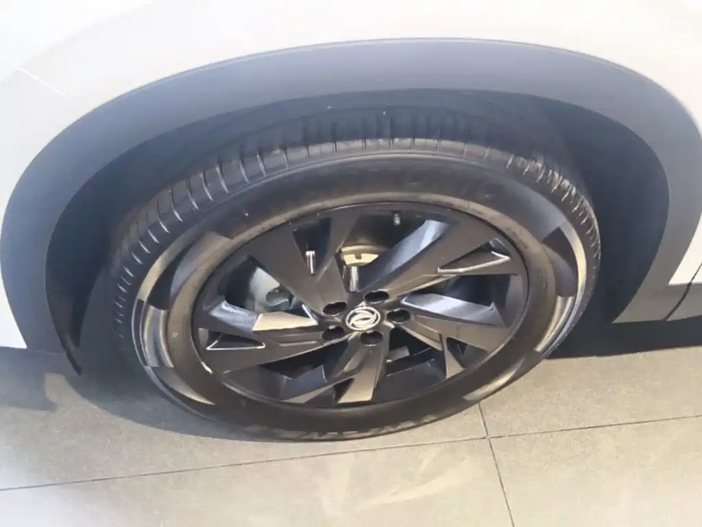 Фото 23 - Dongfeng Aeolus SKY EV01