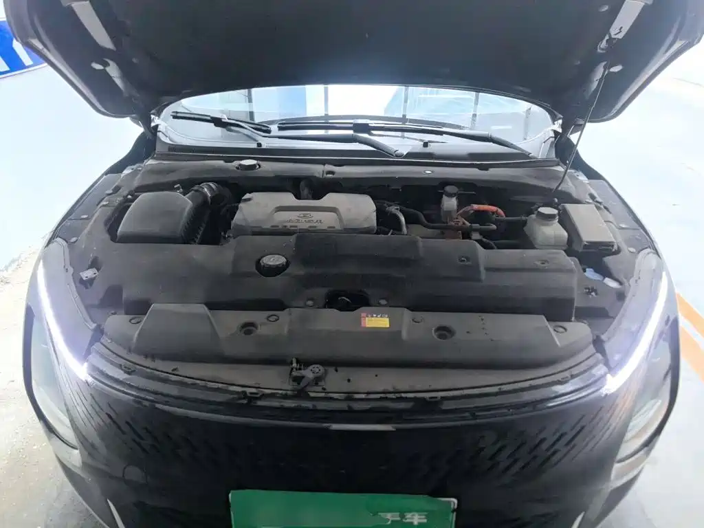 Wuling Motors Wuling Xingguang 2024 2024 Co-Creation Edition 150 Pilot