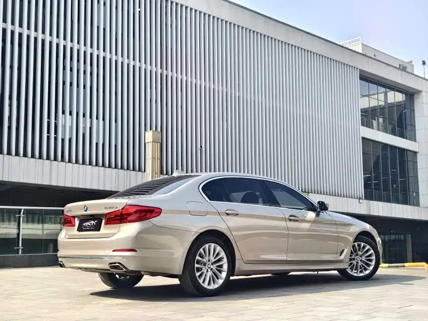 BMW 5 Series 2020 530Li Leading Luxury Package фото 5