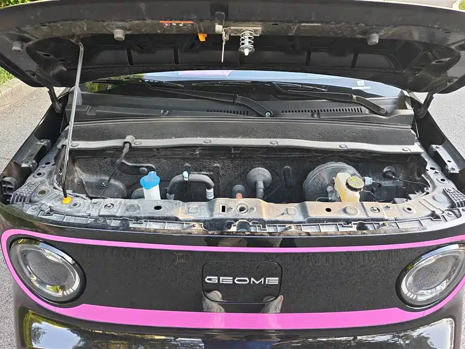Geely Galaxy Panda 2025 Model Year 210km Panda Kart фото 10